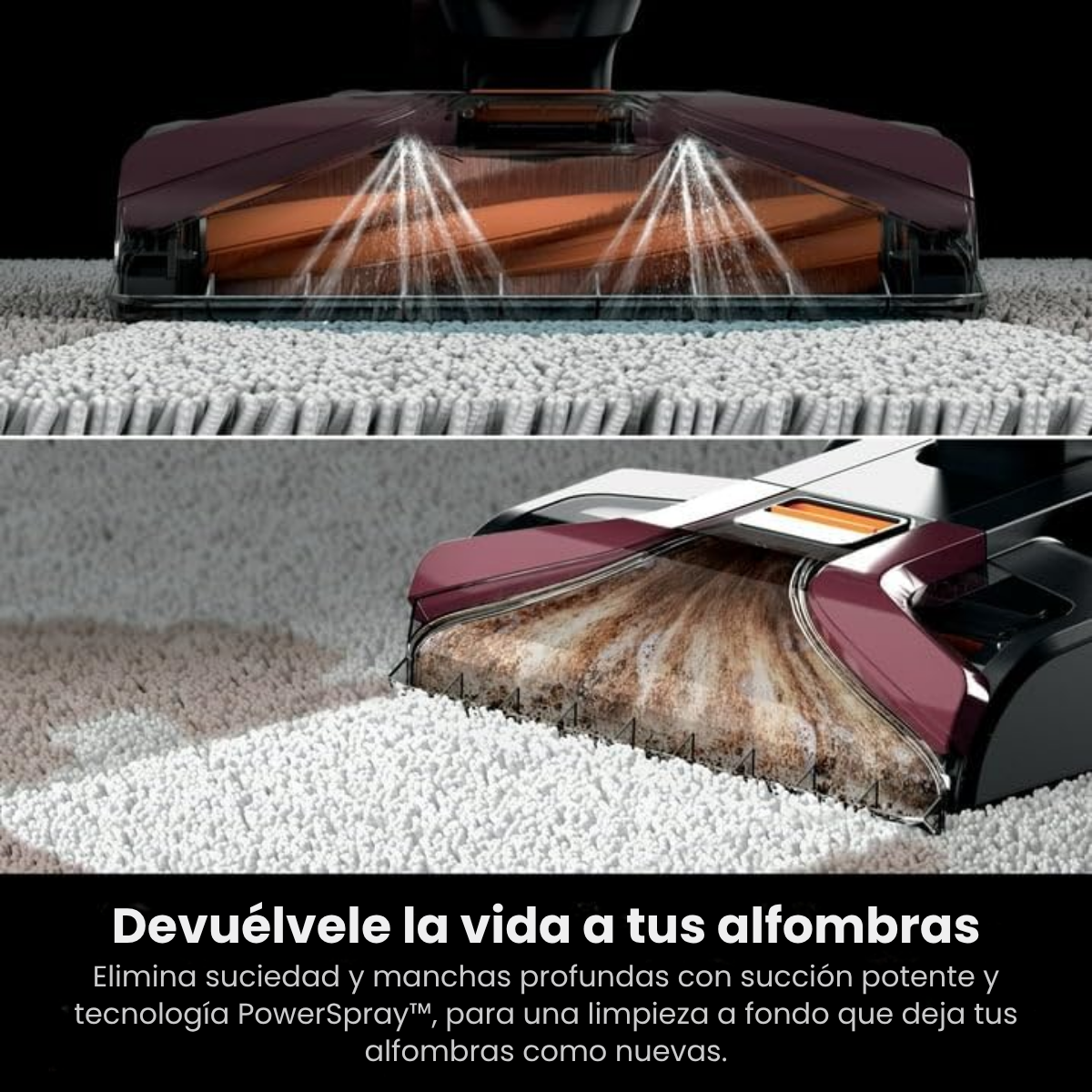 Aspiradora DeepClean™ - Elimina manchas, olores y humedad en minutos